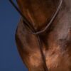 Standing Martingale - Image 1