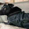 Dog Coat Original - Image 23