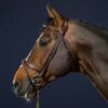 Flash Noseband Bridle - Image 5