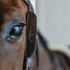 Blinkers with fancy stitching - Image 1