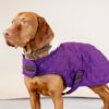 Dog Coat Original - Image 11