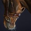 "Difference" Bridle - Image 2