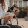 Dog Leash Vegan Leather - Image 3