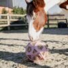 Relax Horse Play & Hay Ball - Image 24
