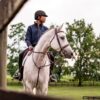 Standing Martingale - Image 3