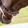 Wide Hunter Noseband with crank pull back - Image 1