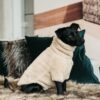 Dog Sweater Teddy Fleece - Image 4