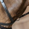 Working Motion Bridle - Image 8