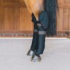 Transport Stable Bandage Pad with hock protection - Image 2