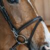 Flash Noseband Bridle with Snap Cheekpieces - Image 1