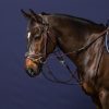 Gogue Reins - Image 2