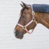 Nylon Halter Breakaway - Image 17