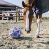 Relax Horse Play & Hay Ball - Image 3