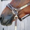 Leather Covered Chain Lead - Image 2