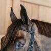 Round Leather Bridle - Image 1