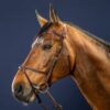 X-Fit Bridle - Image 3