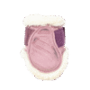 Vegan Sheepskin Young Horse Fetlock Boots Velvet - Image 20
