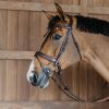 Plaited Flash Noseband Bridle with Pull back - Image 3