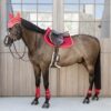 Young Horse Fetlock Boots Velvet - Image 3