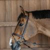 Training Bridle - Image 3
