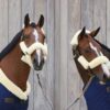 Sheepskin Halter Set Of 4 - Image 8
