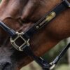 Anatomic Leather Halter - Image 8