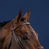 Cavesson Hunter Noseband Bridle - Image 2