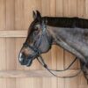 Bitless Bridle - Image 3