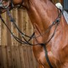 Running Martingale - Image 1