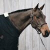 Anatomic Leather Halter - Image 5