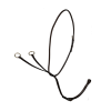 Running Martingale - Image 4