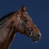 Wide Noseband Hunter Bridle - Image 3