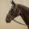 Patent Large Crank Noseband Bridle With White Padding And Flash - Image 3