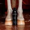 Almond Gloss Purple Shampoo - Image 5