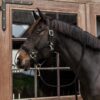 Plaited Nylon Horse Lead - Image 21