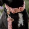 Dog Collar Teddy Fleece - Image 12