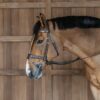 Working Motion Bridle - Image 3