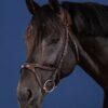X-Fit Bridle - Image 2