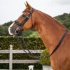 Patent Large Crank Noseband Double Bridle - Image 2