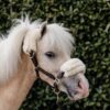 Leather Halter Sheepskin - Image 4