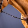Standing Martingale Attachment - Image 2
