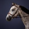 "Difference" Bridle - Image 3