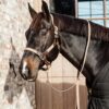 Plaited Nylon Halter - Image 22