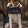 Dog Coat Original - Image 19