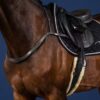 Breast Collar - Image 1