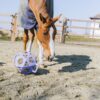 Relax Horse Play & Hay Ball - Image 4