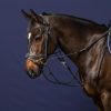 Gogue Reins - Image 4
