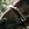 Leather Halter Flexible - Image 3