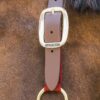 Nylon Halter Breakaway - Image 4