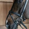 Training Bridle - Image 5